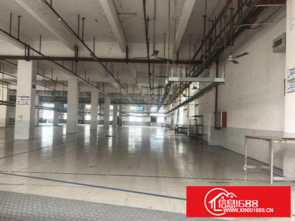标准一楼1800方，喷淋消防层高6米
