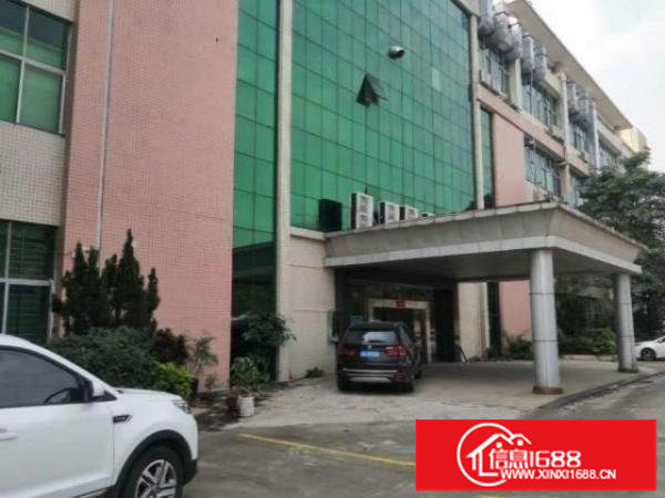 龙岗新出一楼1500平带阁楼办公室厂房招租