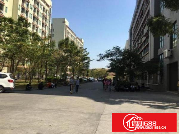 龙华高新科技园新建厂房招租可分租小面积园区空地大停车方便