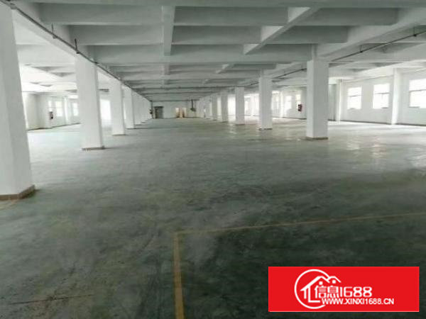 沙井107国道东环路一楼1380平米大小分租私人厂房带红