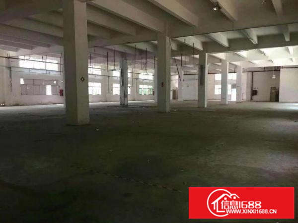 松岗罗田市场旁新出独院厂房10400平方大小分组