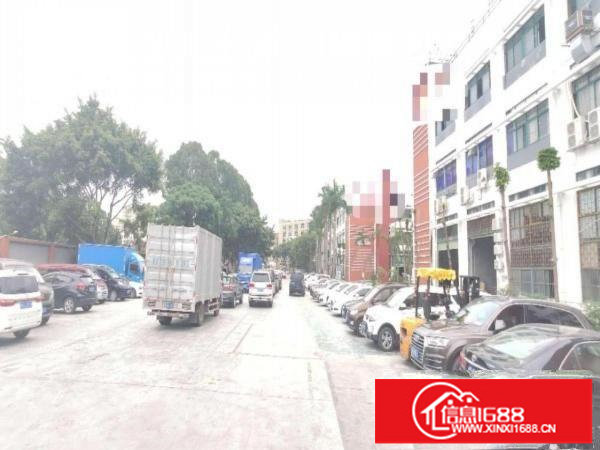 坂田高速入口附近新出2600平办公厂房，可分租