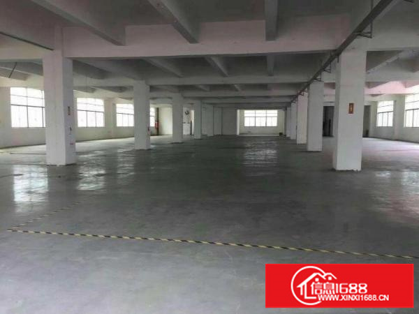 松岗罗田市场旁新出独院厂房10400平方大小分组