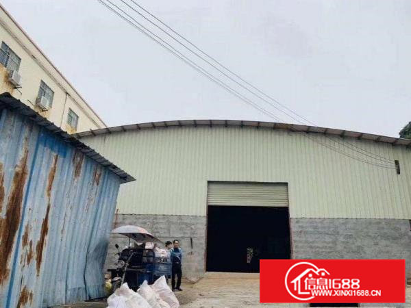 横沥长巷小独院1200平米独院厂房出租！6.5米高