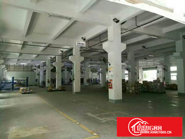 6.5米，仲恺潼湖有牛腿一楼980平米