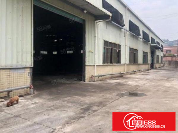 常平独院钢构厂房1200平工业用地可办环评，行业不限交通方便