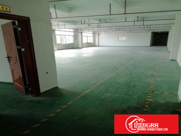 凤岗新出楼上600平方现成水电办公室地坪漆