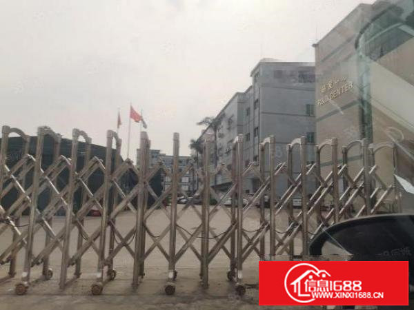 观澜桂花主干道旁新出原房东独院红本21000平厂房出租零公摊