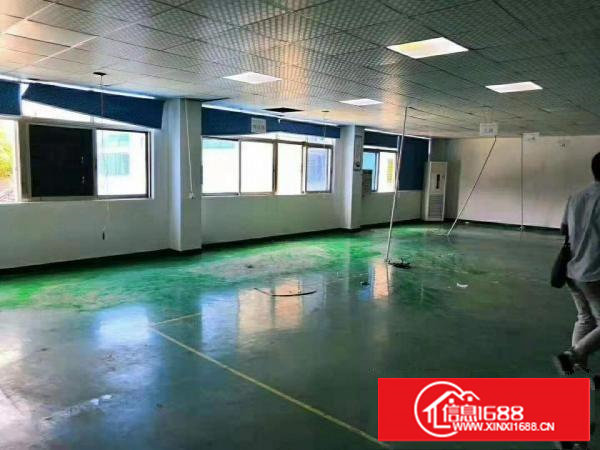 出租长安乌沙新出480平厂房带装修水电齐全