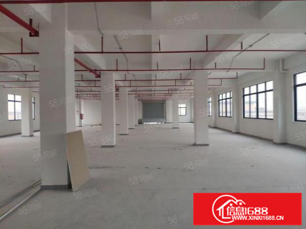 横沥镇原房东全新标准厂房出租，红本厂房，工业用地可办环评