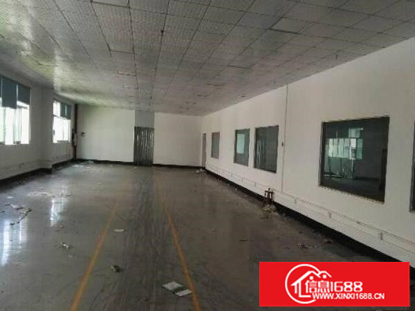 大亚湾新亿厂内整层2300平方带豪华装修厂房招租（可分租）