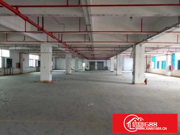 布吉李朗新出11000平方带卸货平台厂房仓库招租