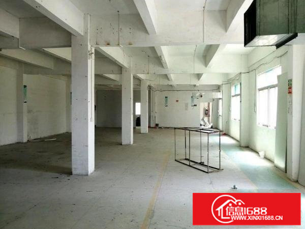 寮步镇竹园楼上1200平方平方业主急租