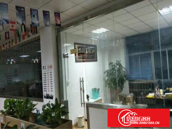 原房东雪象医院新出整层2380平带精装修厂房