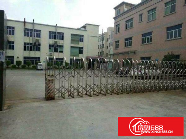 坪山鸳鸯围新出一楼标准厂房1000平方带地坪漆