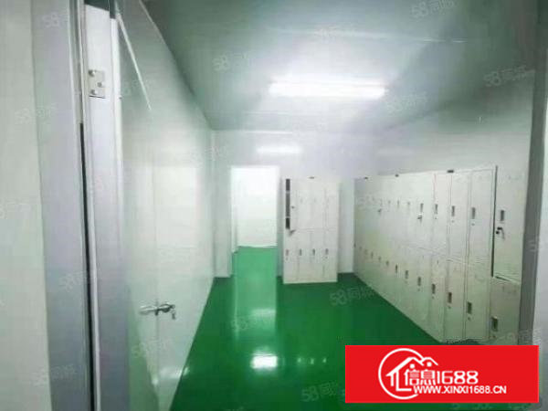 无需转让费好招工塘厦龙背岭无尘洁净车间出租1500平