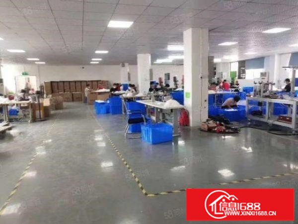 福永凤凰新出2楼整层1000平带豪装原房东厂房