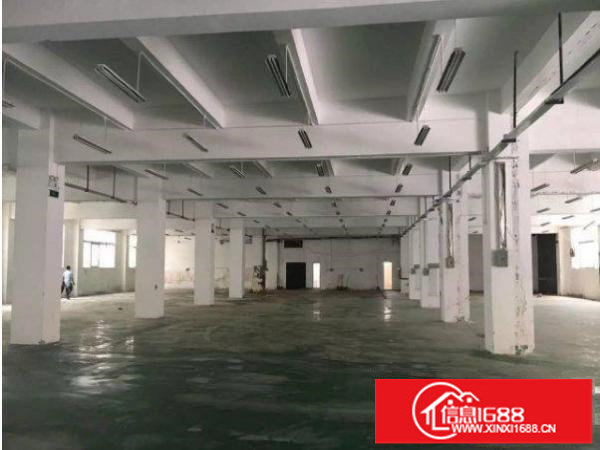 出租龙岗区坪地一楼1200平厂房可分租层高5米