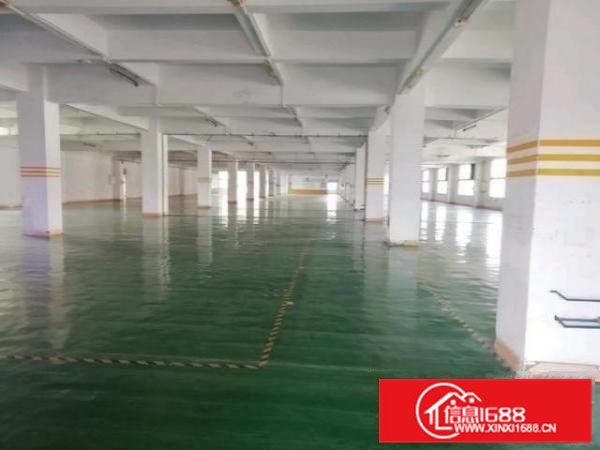 寮步新出独院厂房大小可分每层2300平方