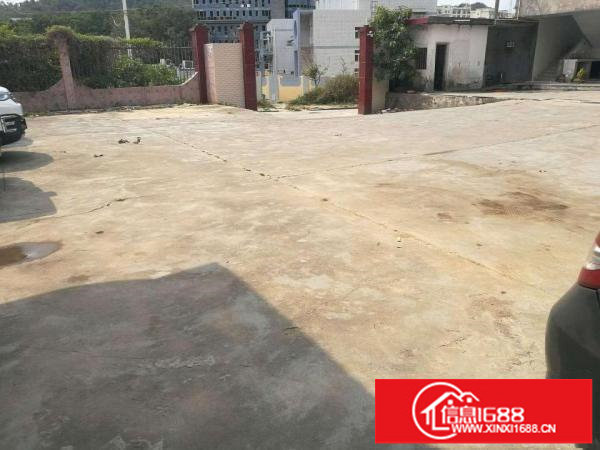 坪山大工业区新出独门独院3000平12F