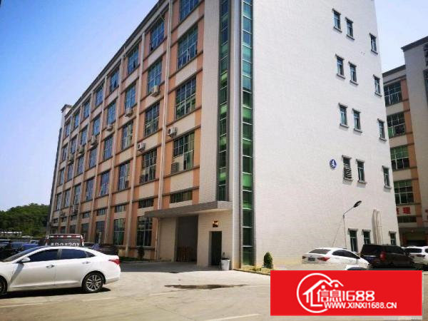 凤岗镇金凤凰村原房东楼上1200平，带豪华装修。