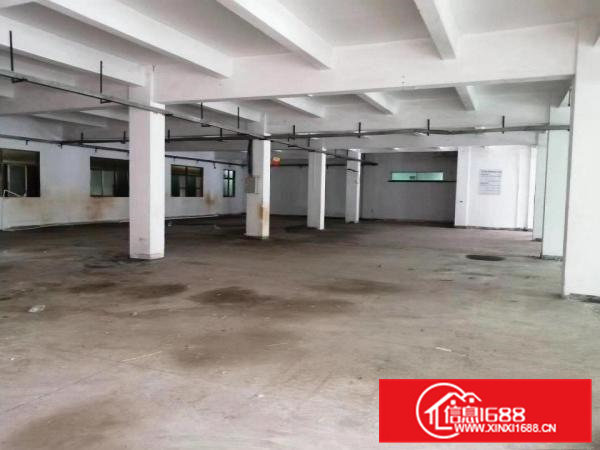 一楼厂房招租，石排镇标准厂房出租一楼1000平方