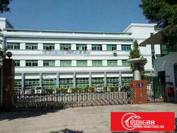 平湖白泥坑海吉星一楼2000平方带现成冻库急租