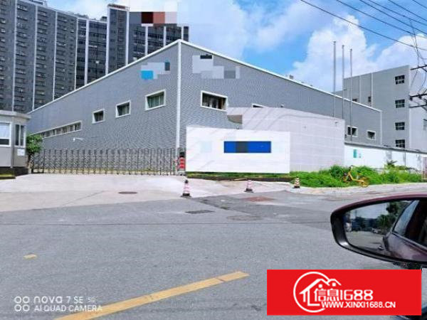 龙华独门独院（红本）厂房原房东14500平直租