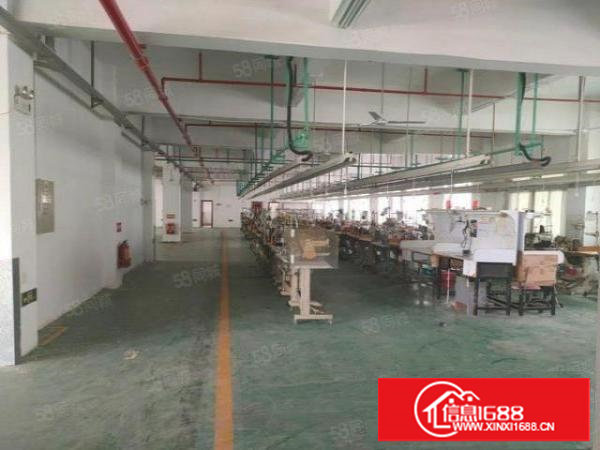 塘厦振兴围新出独院厂房!设施配套齐全,仅租16元全包!