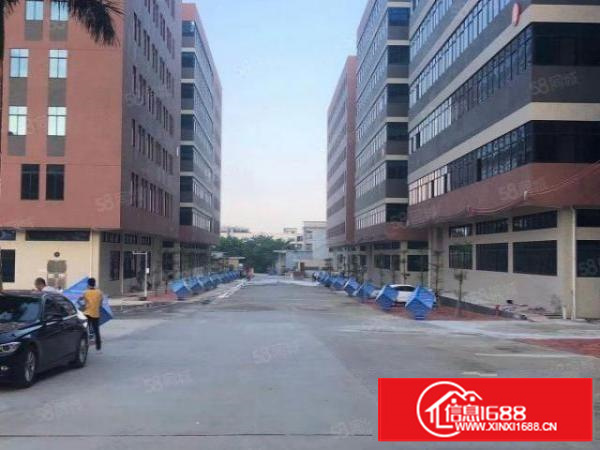 茶山镇高大尚工业区厂房标准楼房一楼1500平带地坪漆