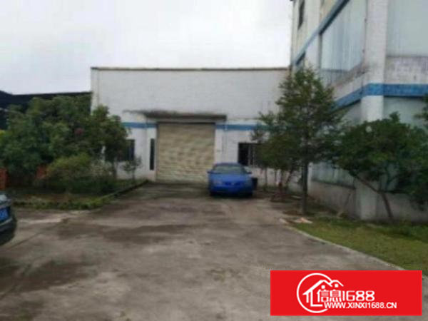 高埗独院单一层厂房1800平方带现成地坪漆出租