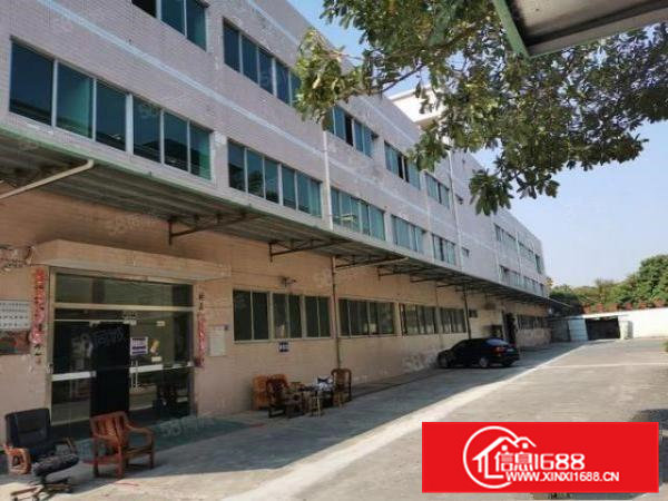 东坑镇标准独院厂房出租可分租独立办公楼主干道边易招工交通方便