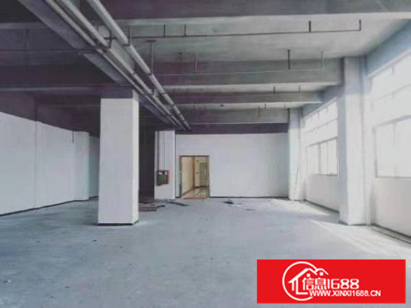 大浪石观工业园一楼厂房760平米层高6米