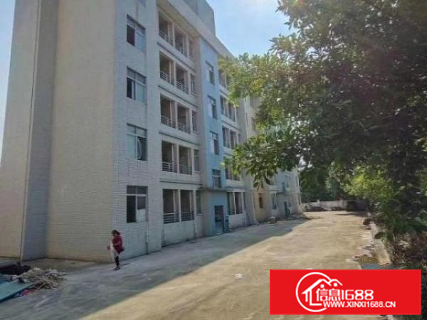 狮山官窑一汽大众附近新出靓厂招租