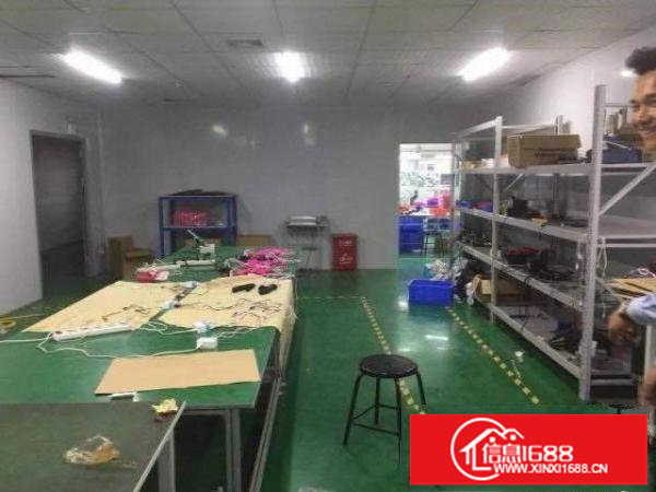 坪山金碧路边一楼780平厂房招租，带装修办公室