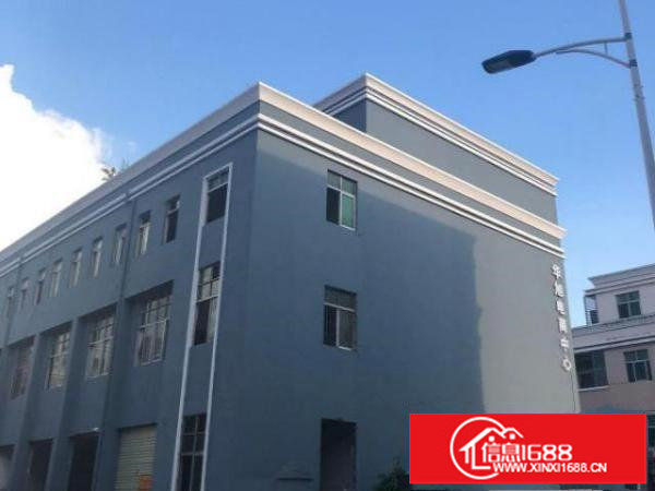 坪山中心区280㎡600㎡电商办公仓库出租。