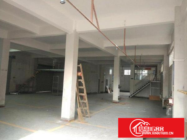 金桔村独栋600平厂房一二楼可整租