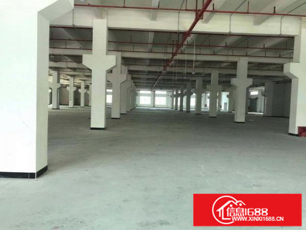 桥头大洲新出原房东一楼整层2000平方带精装修办公室出租