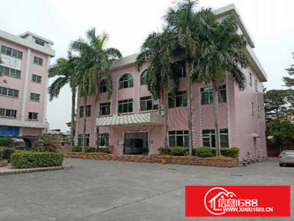 万江新出标准独院厂房一楼1600平方带办公室出租高5.5米滴