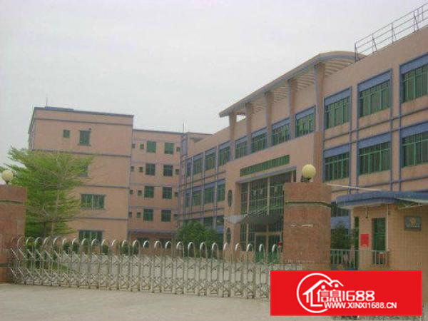 横沥超靓独院厂房3300平方低价出租