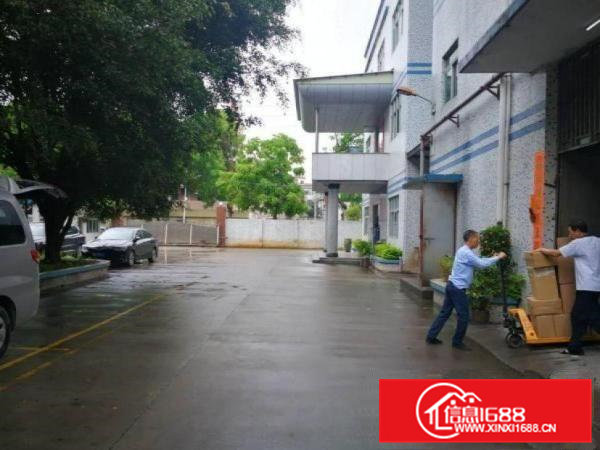 新马莲工业区厂房一楼700平，原房东，可办环评