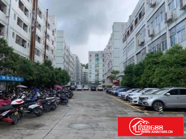 石岩水田第四工业区新出楼上252平，豪华装修无转让费