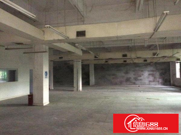 龙岗原房东独院厂房出租2200平带装修地坪漆可分租