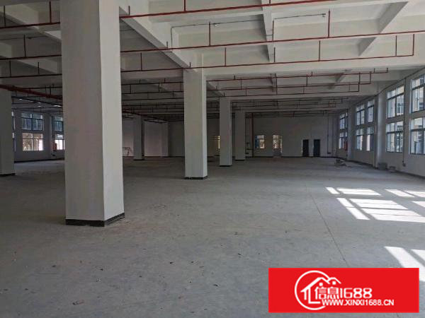 原房东邻近松山湖独院标准厂房出租