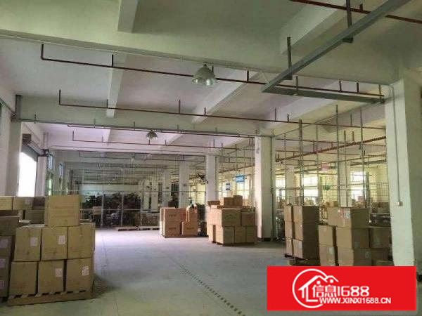 惠东县白花成熟工业区4层7560平米标准厂房出租