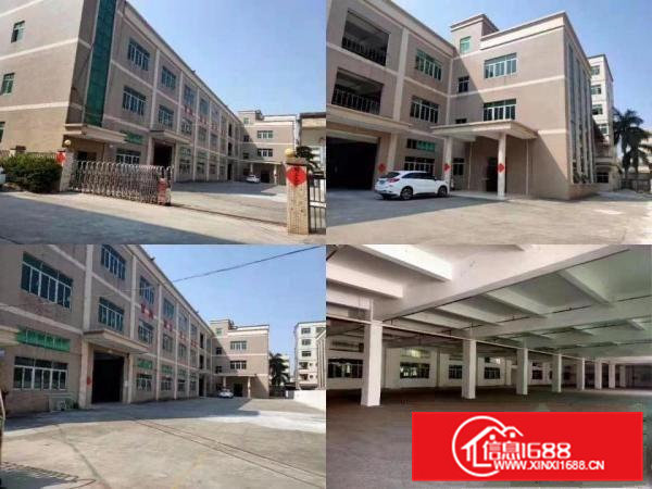 大朗镇新出原房东独院6000平方厂房出租