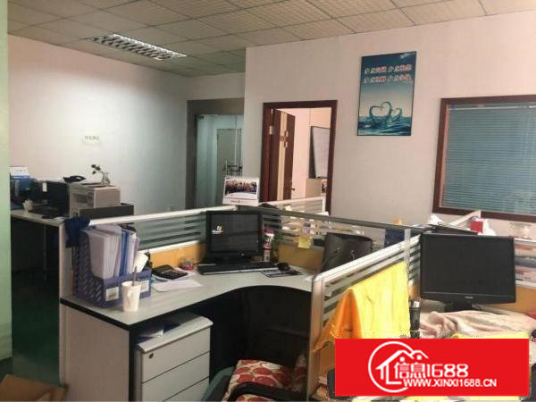 坂田厂房600平米带精装修坂澜大道