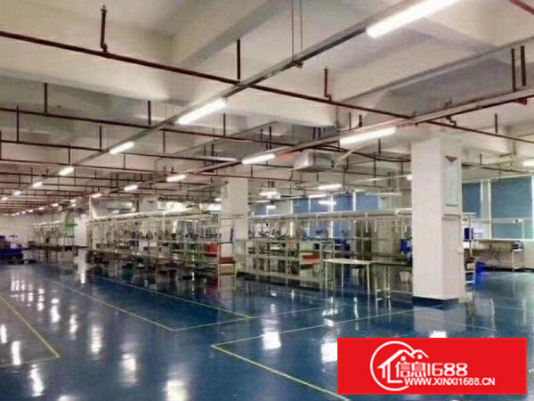 清溪土桥原房东楼上1500平精装修厂房出租，带电梯