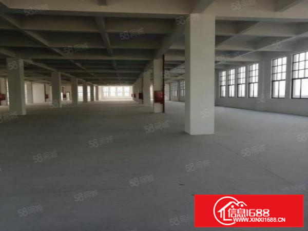 一千方起分租,乐从镇原房东独院独栋标准厂房出租(可办环评)