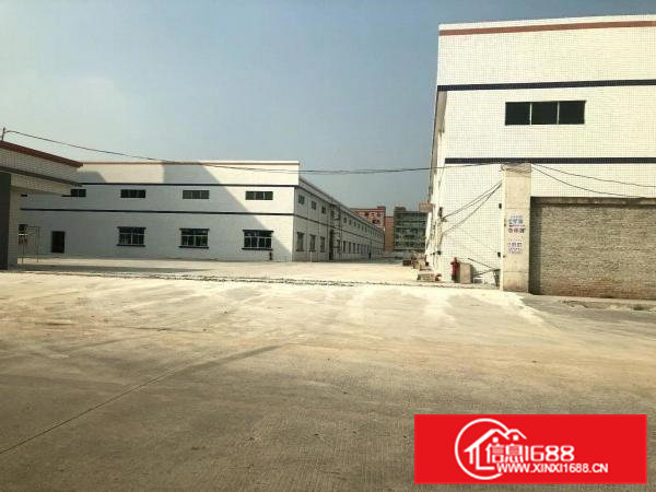 石排新出可做各类污染行业单一层2300平方独院